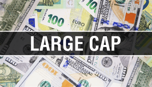 Large-Cap-Portfolio