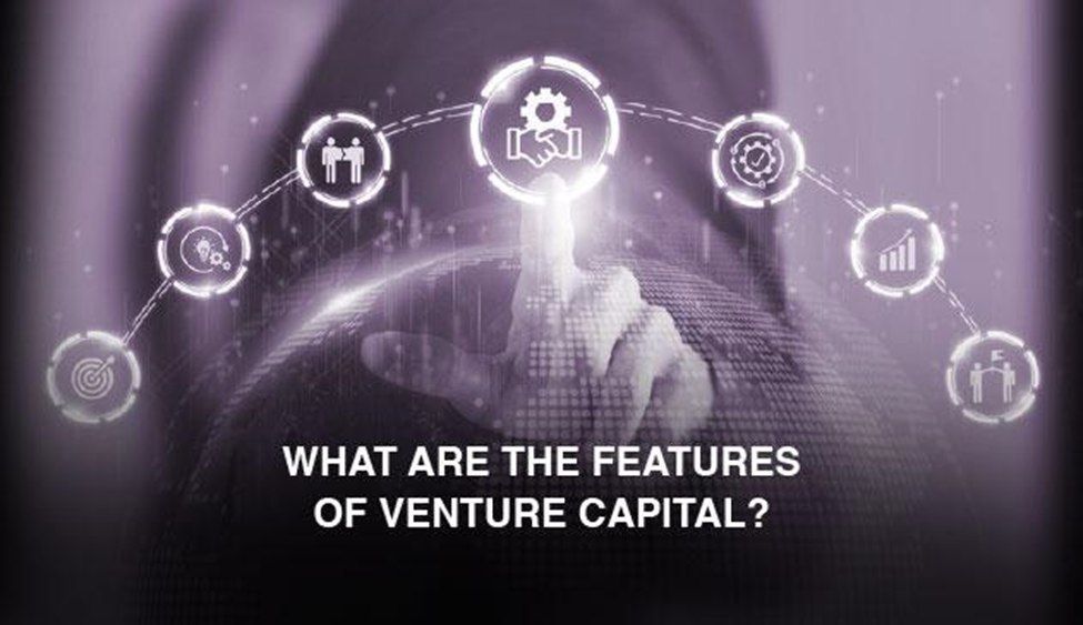 What are the features of Venture Capital?