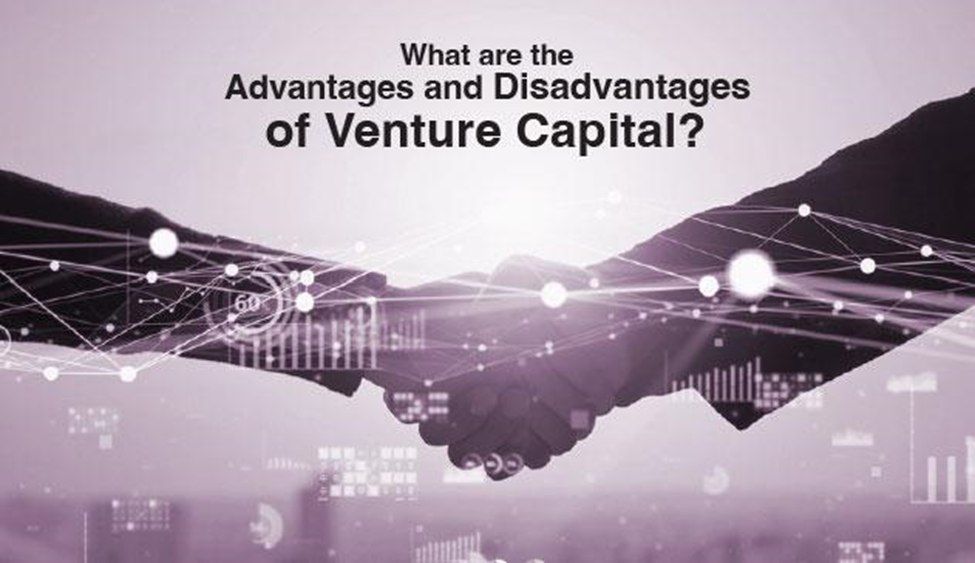 What are the Advantages and Disadvantages of Venture Capital?